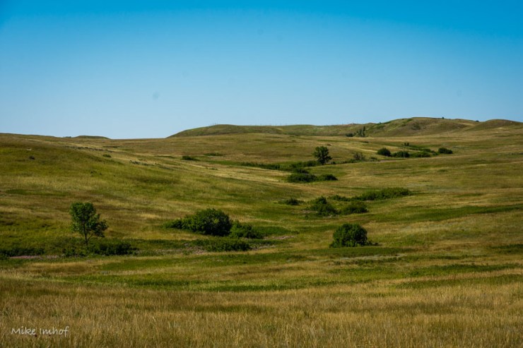 Grassland Prarie