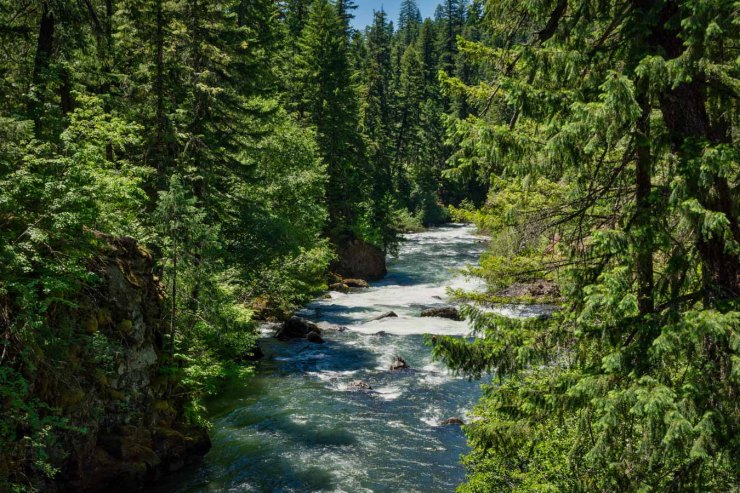 Rogue River